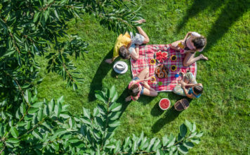 Gry planszowe na majówkę