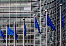 OD 12 października zostanie wdrażamy systemy zarządzania granicami