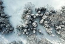 PIP: Obowiązki pracodawców w mroźne dni