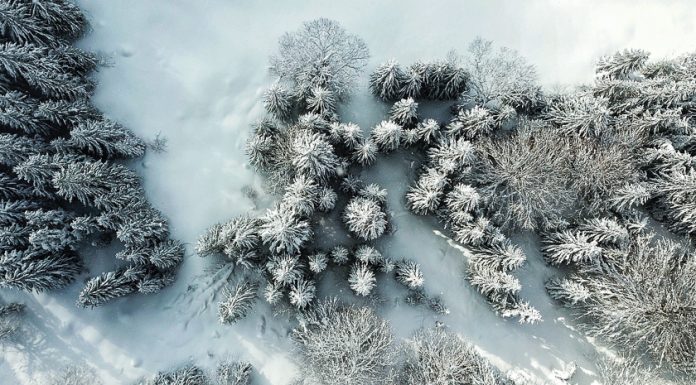 PIP: Obowiązki pracodawców w mroźne dni