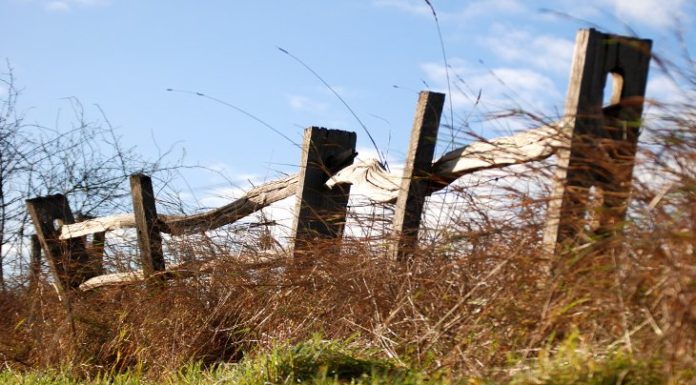 Wysokość podatku od wynajmu działki za użytkowanie wieczyste