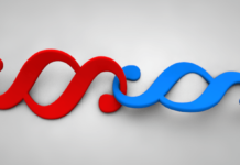 Uchybienia przeciwko porządkowi w pracy